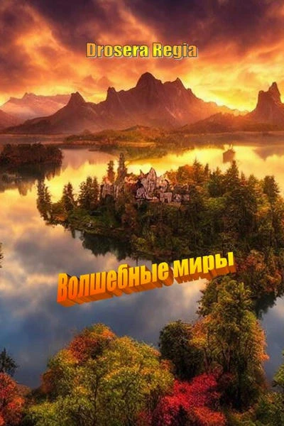 Волшебные миры