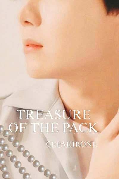 treasure of the pack