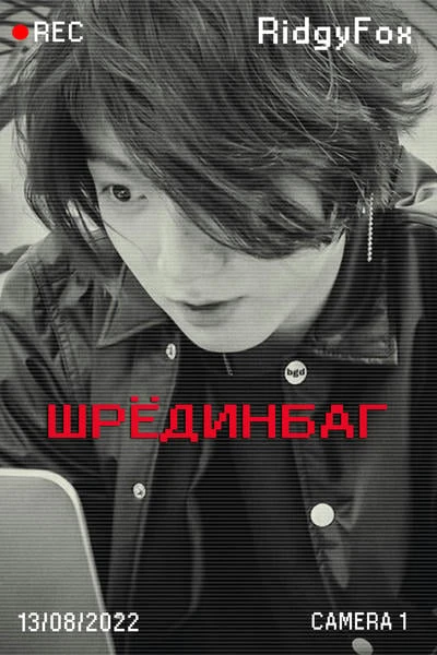 Шрёдинбаг