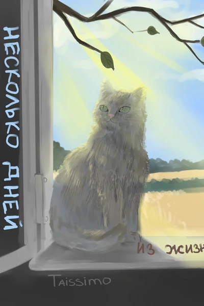 Несколько дней из жизни Кошки
