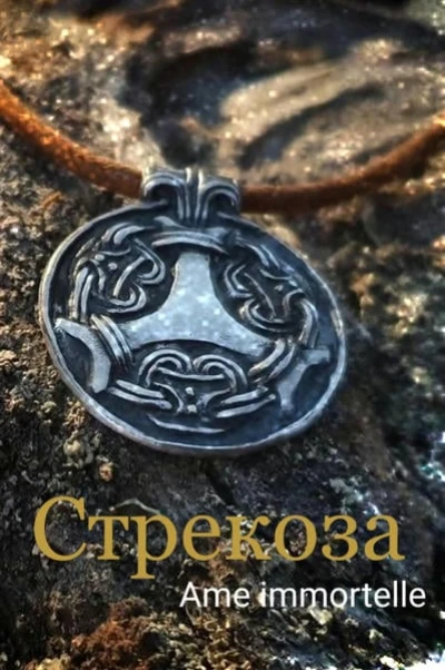 Стрекоза