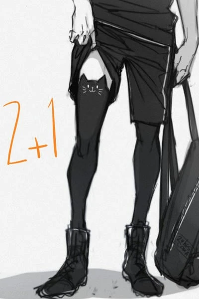 2+1