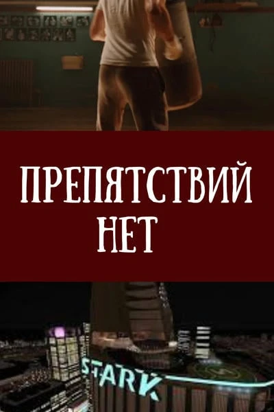 Вижу цель