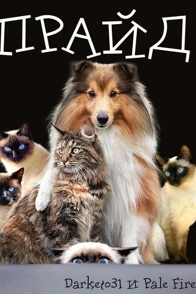 Прайд