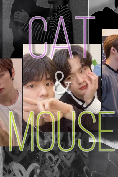 Cat and Mouse