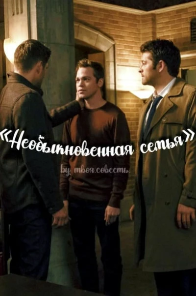 Необыкновенная семья