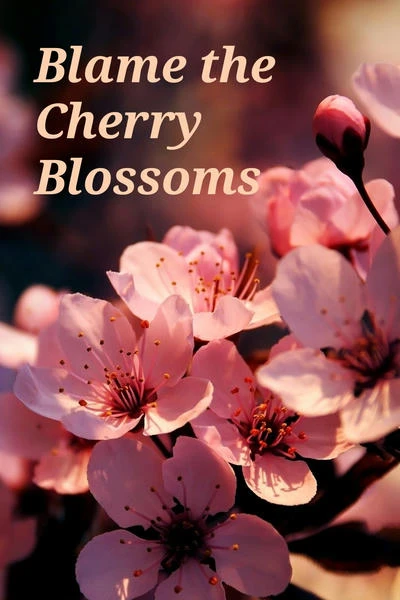 Blame the Cherry Blossoms/Виноваты цветущие сакуры