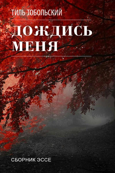 Дождись меня. Сборник эссе