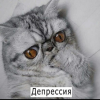 Гехардра