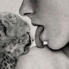 enigmatics
