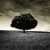 ___Darkness___