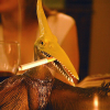 Cool_pteradacktel