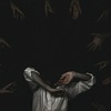 plume noire