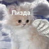 Na kostyor
