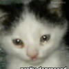 april_evermore