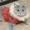 _Лима_