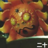 Ginger Sun