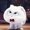 bunnycandream