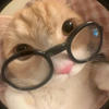 Zhukeee