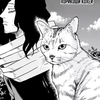Feline Eyes