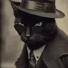 Ferafox