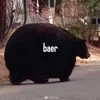 Вари Ненай