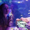 Anaida_Diana