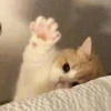 Keroko_8