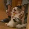 qexakuthxe