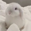 We all need to chill
