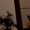 twoHgm