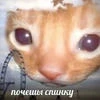 Падение гладиатора