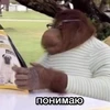 Sashok Tyaaan