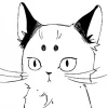 Kotshirou