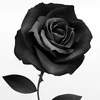 SayarinTheBlackRose