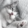 СвЯтОй пОдОрОжНиК7