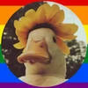 _утренний рассвет_