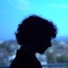 дочка стивена кинга