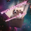 Табуретка с котом