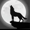Shade Moon