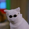 Salem_Pussy
