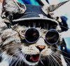 Moebius_Cat