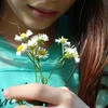 Lolipop_perets