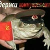 Жижажа