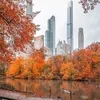 AutumnSadness