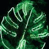 psycho_neuro
