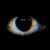 DontLookAtMe_DLAM