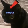 Энди Меримо