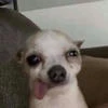 Ulywzzx