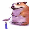лл.осуждаю кстати